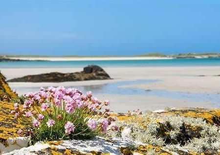 Wild Atlantic Stay Guest House Self-Catering Inverin Buitenkant foto
