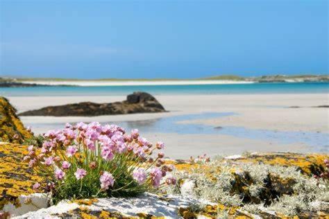 Wild Atlantic Stay Guest House Self-Catering Inverin Buitenkant foto